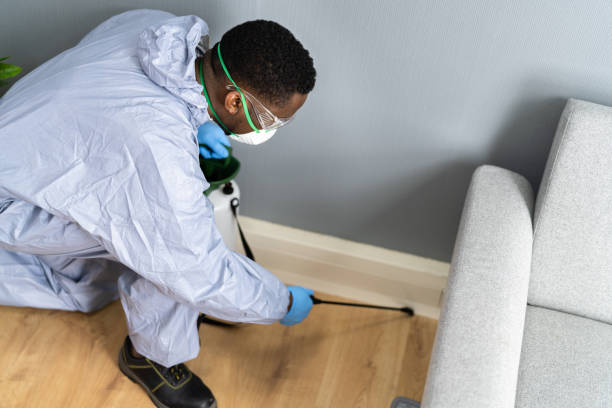 Best Fumigation Services  in Lake Leann, MI